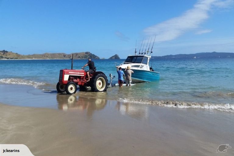 Photo of property in 24 Matapaua Bay Road, Opito Bay, Whitianga, 3592