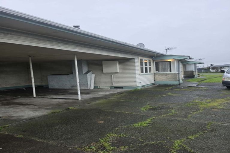 Photo of property in 195 Nikau Street, Saint Leonards, Hastings, 4120