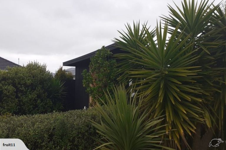 Photo of property in 8 Muriwai Boulevard, Waiotahe, Opotiki, 3198