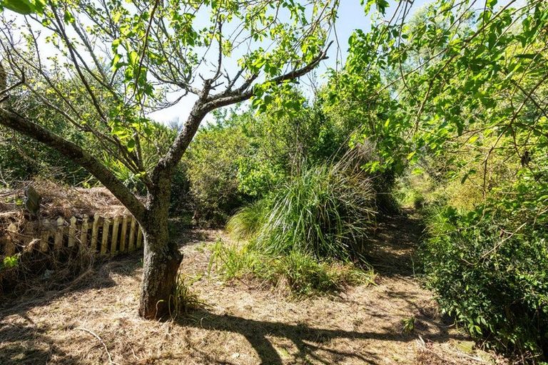 Photo of property in 55 Station Road, Paeroa, 3600