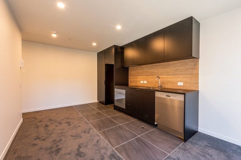 Photo of property in Pinnacle Apartments, E202/160 Victoria Street, Te Aro, Wellington, 6011