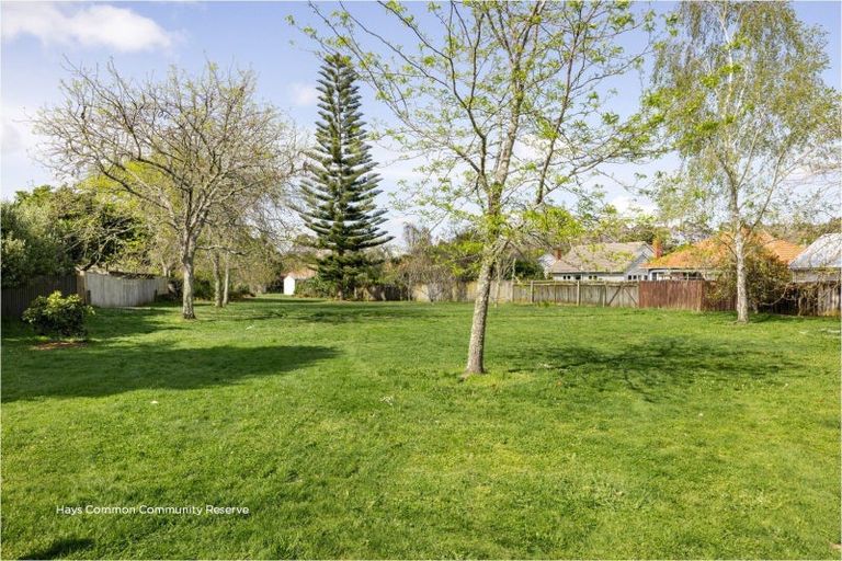 Photo of property in 48 Galway Avenue, Hamilton East, Hamilton, 3216