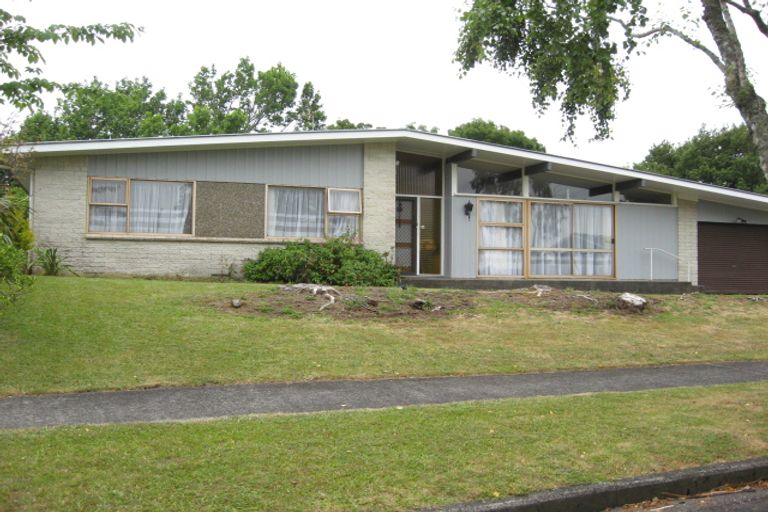 Photo of property in 14 Bledisloe Court, Pukekohe, 2120