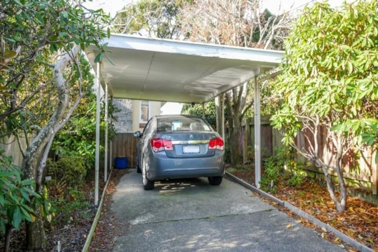 Photo of property in 182 Maitland Street, Dunedin Central, Dunedin, 9016