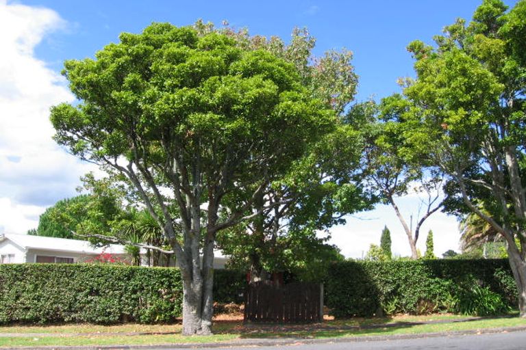 Photo of property in 60 Astley Avenue, New Lynn, Auckland, 0600