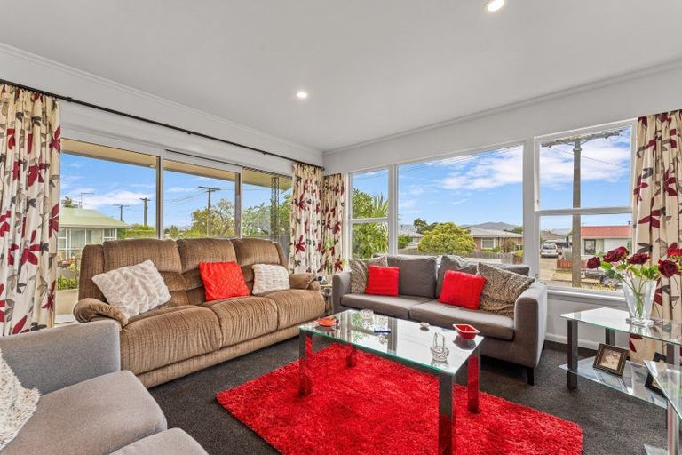 Photo of property in 21 Moran Street, Redwoodtown, Blenheim, 7201