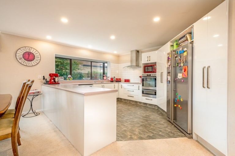 Photo of property in 103b Fitzroy Street, Terrace End, Palmerston North, 4410