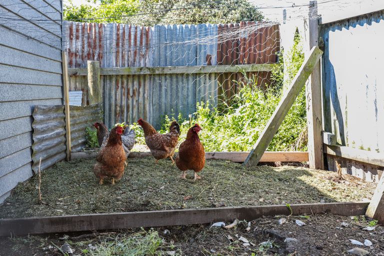 Photo of property in 18 Farmer Road, Waitoa, 3310