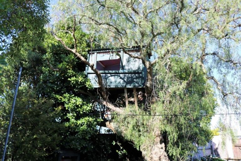 Photo of property in 90 Tiro Tiro Road, Levin, 5510