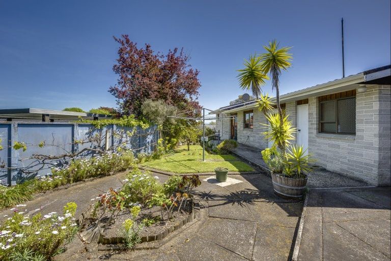 Photo of property in 36 Simla Avenue, Havelock North, 4130