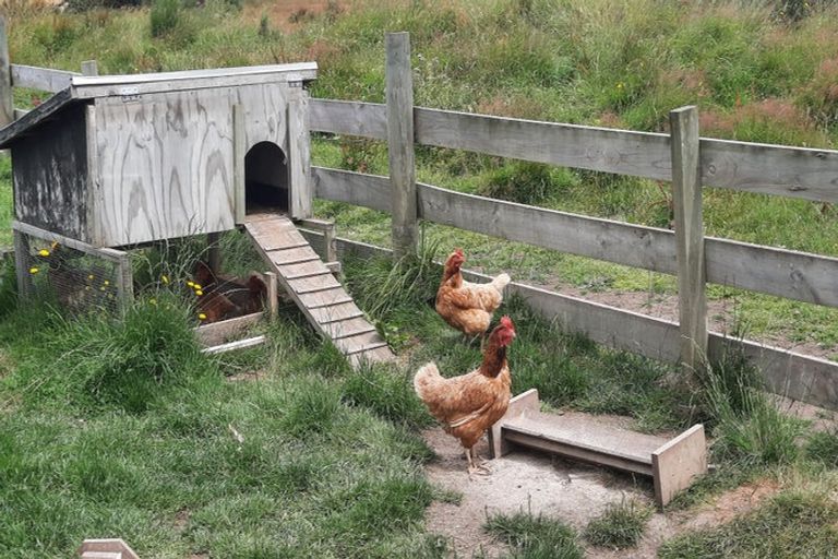 Photo of property in 902 Lawrence Waitahuna Highway, Waitahuna, Lawrence, 9593