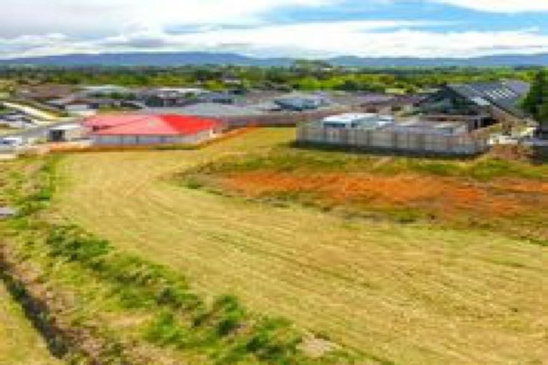 Photo of property in 54 Bert Wall Drive, Omokoroa, 3114