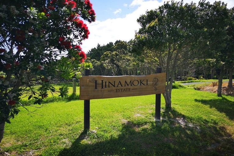Photo of property in 55 Hinamoki Drive, Kaiwaka, 0573