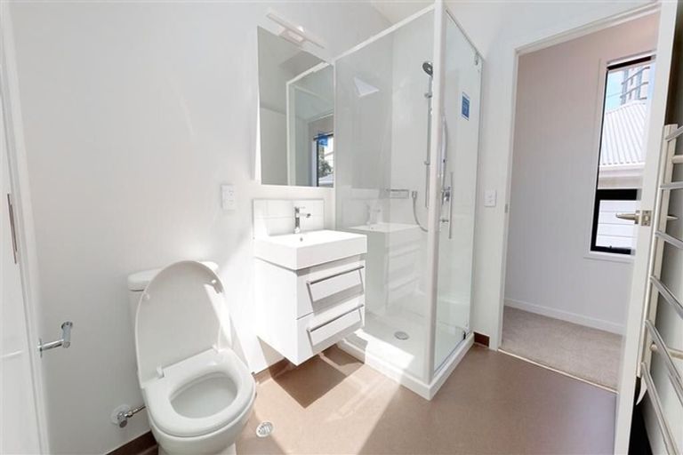 Photo of property in 1/17 Nairn Street, Mount Cook, Wellington, 6011