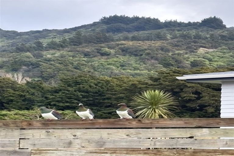 Photo of property in 119 Watt Street, Featherston, 5710