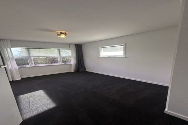 Photo of property in 46 Colman Avenue, Sockburn, Christchurch, 8042
