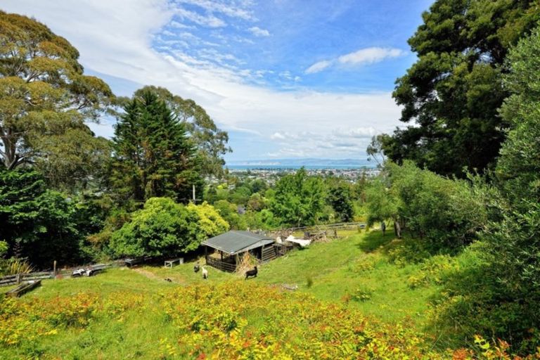 Photo of property in 14 Adams Road, Whataupoko, Gisborne, 4010