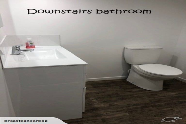 Photo of property in 53 Fraser Street, Tauranga South, Tauranga, 3112