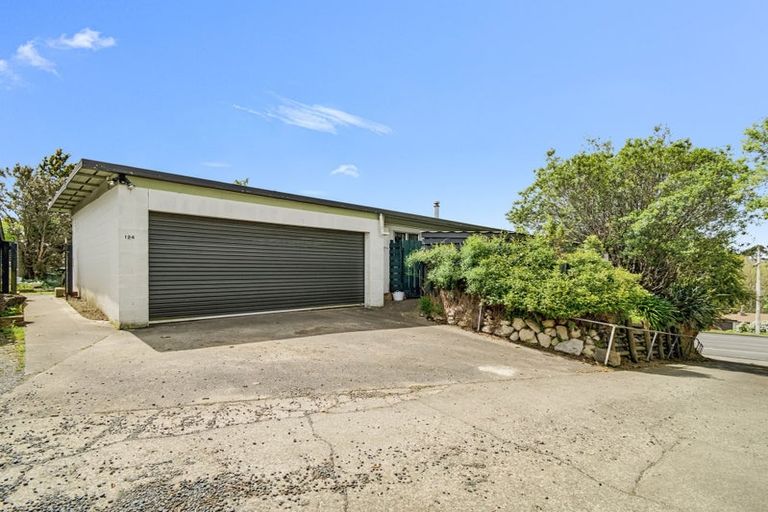 Photo of property in 124 Porangahau Road, Waipukurau, 4200