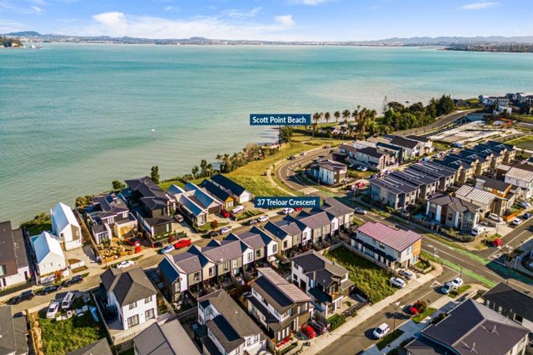 Photo of property in 37 Treloar Crescent, Hobsonville, Auckland, 0616