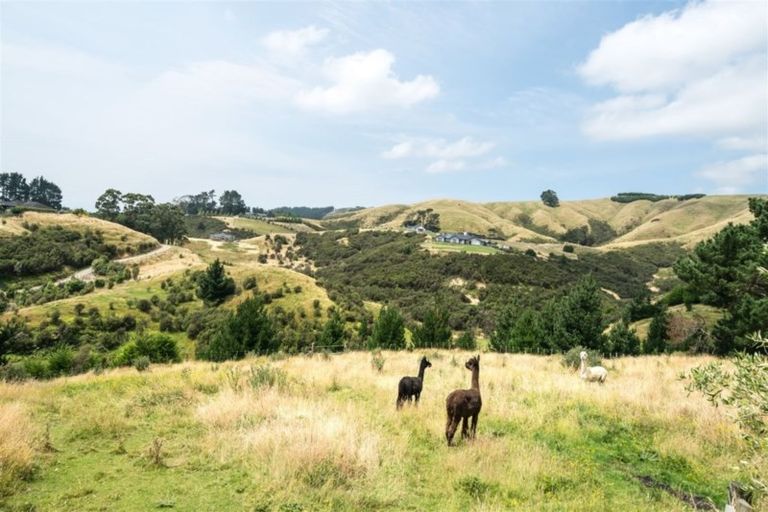Photo of property in 389 Kahuterawa Road, Linton, Palmerston North, 4472