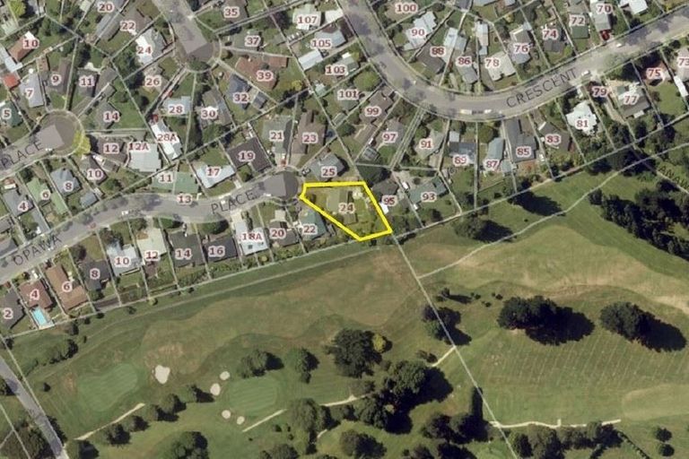 Photo of property in 24 Opawa Place, Terrace End, Palmerston North, 4410