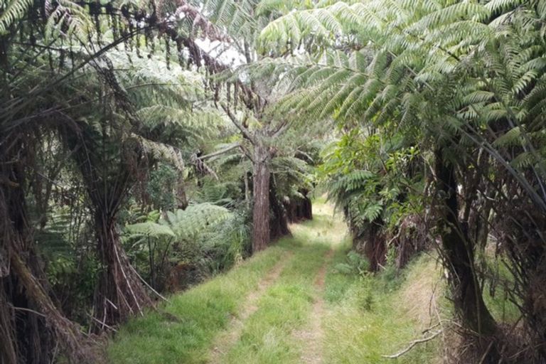 Photo of property in 422 Otau Mountain Road, Clevedon, 2585