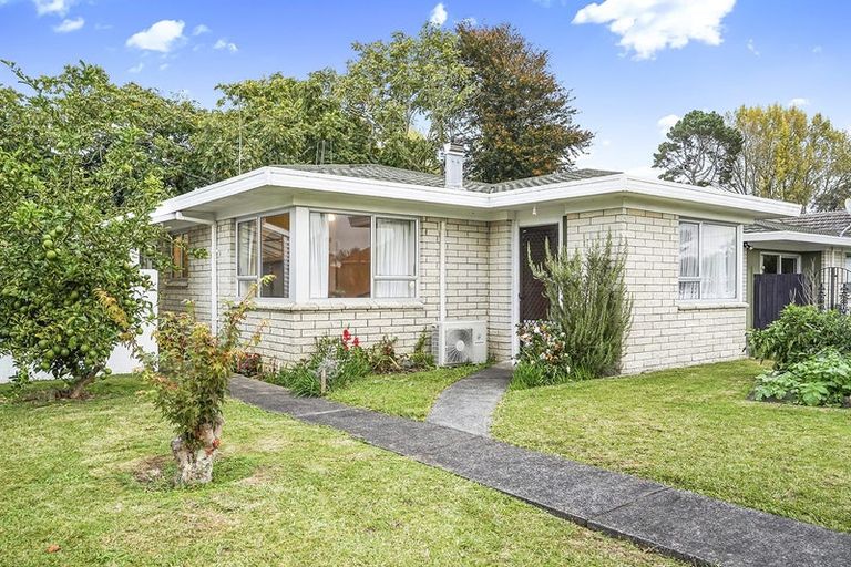 Photo of property in 49 Rimu Street, Maeroa, Hamilton, 3200