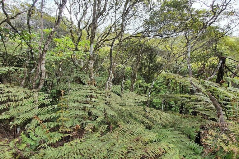 Photo of property in 574 Honeymoon Valley Road, Peria, Kaitaia, 0482