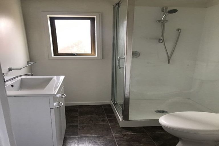 Photo of property in 102 Barbour Street, Waltham, Christchurch, 8011