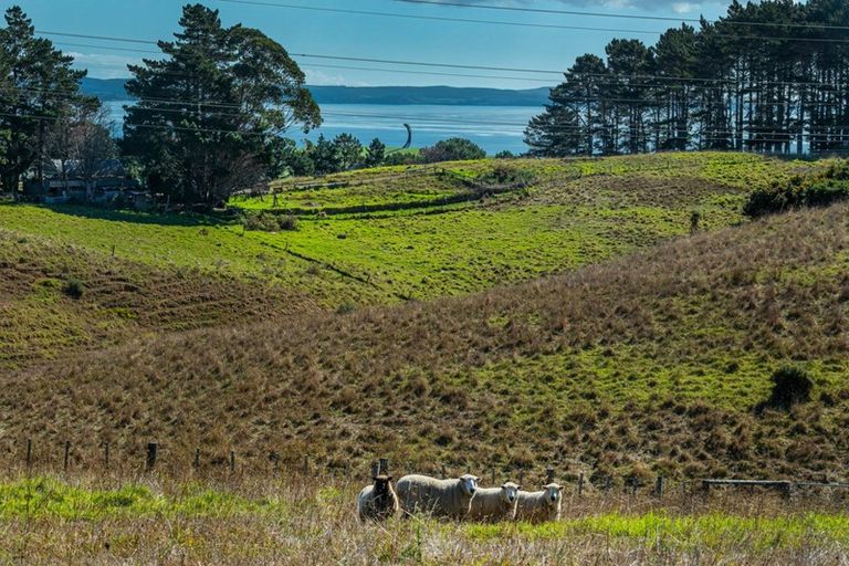 Photo of property in 116 Tuhirangi Road, Makarau, Warkworth, 0984