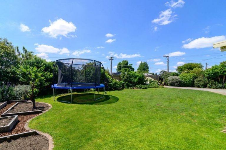 Photo of property in 24 Kokiri Street, Ngongotaha, Rotorua, 3010