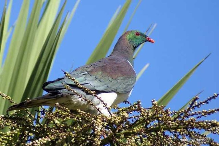 Photo of property in 91a Bald Hill Road, Waiuku, Pukekohe, 2678