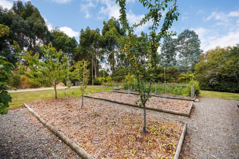 Photo of property in 476 Finnis Road, Pohangina, Feilding, 4775