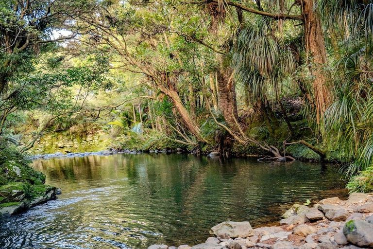 Photo of property in 73 Weka Lane, Okaihau, 0475