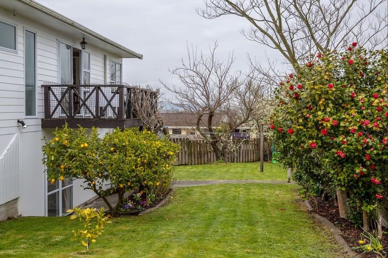 Photo of property in 6 Ngaio Place, Lansdowne, Masterton, 5810