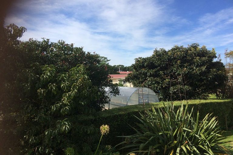 Photo of property in 8 Victoria Street, Tahawai, Katikati, 3170