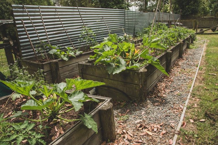 Photo of property in 123 Mapara Road, Acacia Bay, Taupo, 3385