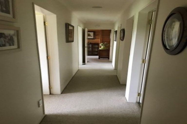 Photo of property in 74 Prole Road, Omokoroa, Tauranga, 3172