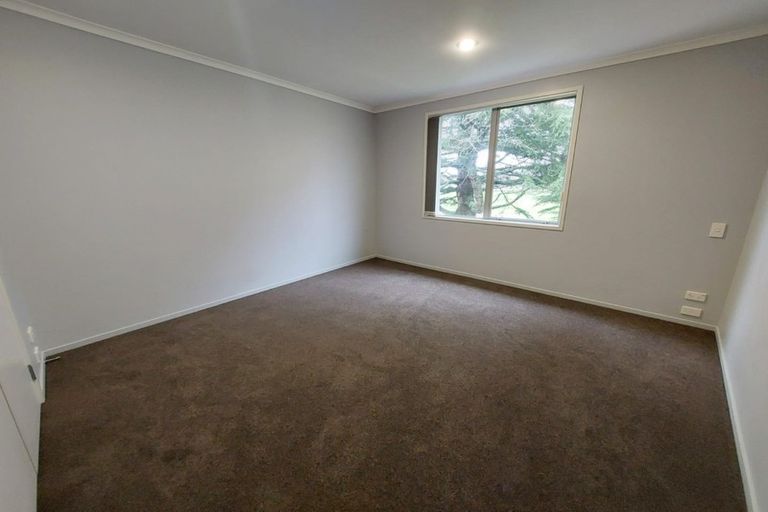 Photo of property in 244 Clyde Street, Hamilton East, Hamilton, 3216