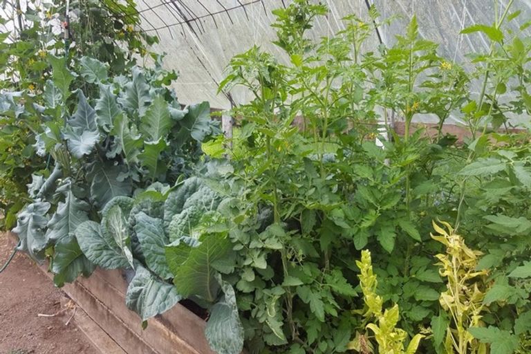 Photo of property in 108 Pebblebrooke Road, Mangawhai, Kaiwaka, 0573