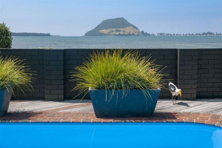 Photo of property in 71 Kulim Avenue, Otumoetai, Tauranga, 3110