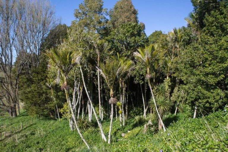 Photo of property in 54 Puriri Glade, Maungaturoto, 0588