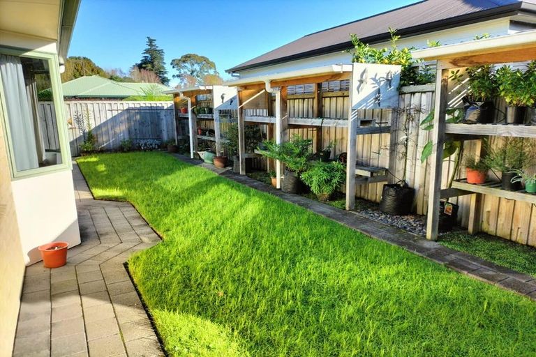 Photo of property in 11 Pembroke Drive, Bethlehem, Tauranga, 3110