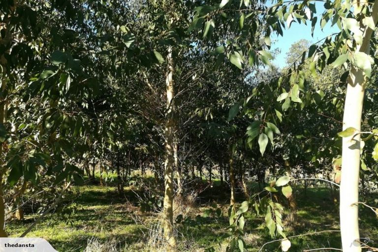 Photo of property in 437 Okirae Road, Mangamahu, Wanganui, 4577