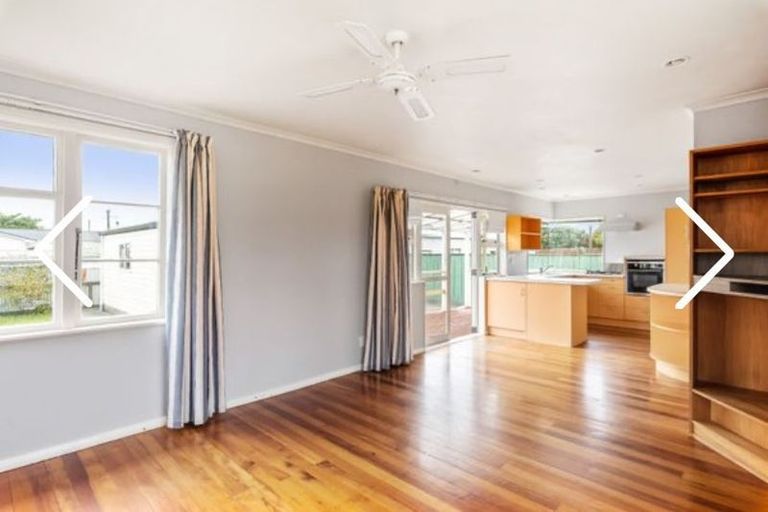 Photo of property in 55 Power Street, Levin, 5510