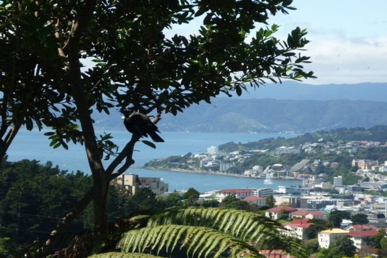 Photo of property in 23 Koromiko Road, Aro Valley, Wellington, 6012