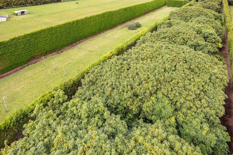 Photo of property in 92 Riverbank Road, Okoia, Whanganui, 4573