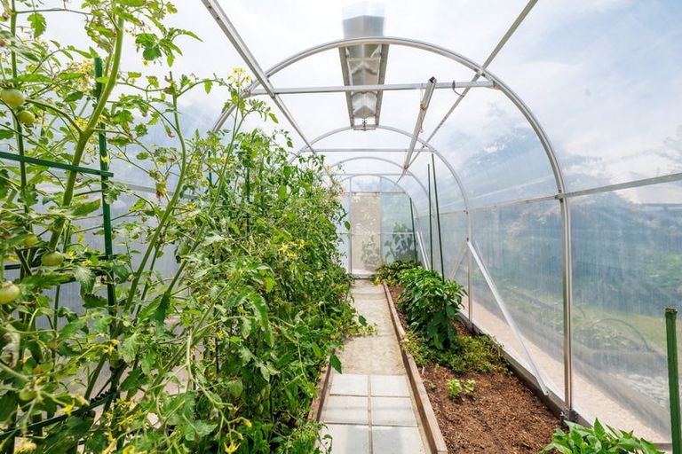 Photo of property in 8 Moorhouse Street, Waimate, 7924