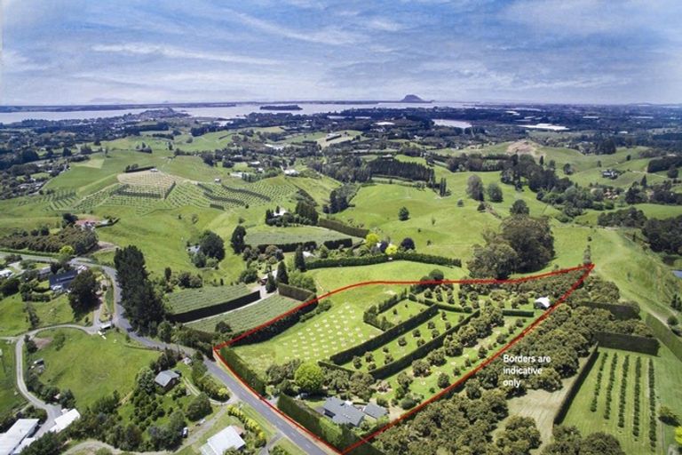 Photo of property in 313 Youngson Road, Whakamarama, Tauranga, 3179